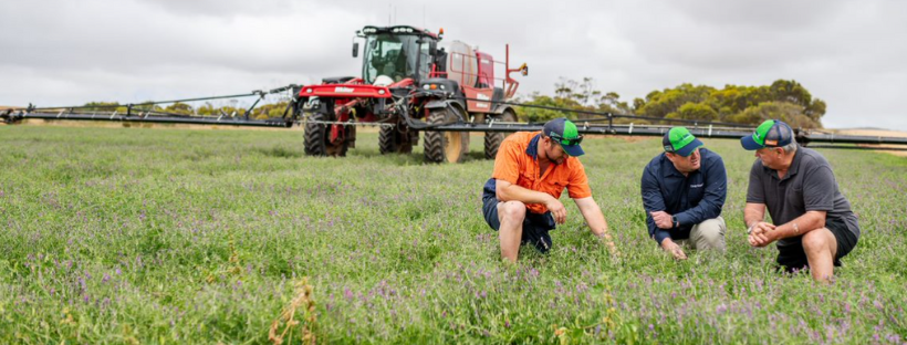 July Market Update Crop Smart Agricultural Chemicals For Crop